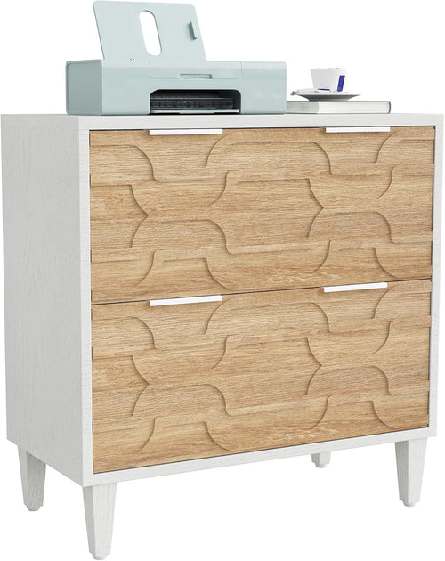 Fnova 2 Drawer Lateral File Cabinet, Filing Cabinet with Hanging Rods for Legal/Letter/A4 Folders, Modern Office Storage Organizer with Printer Stand, Home Office Furniture,WM010627_YW_US