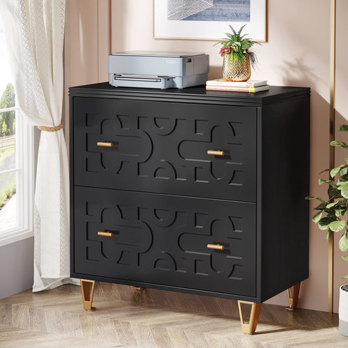 Fnova 2-Drawer Cabinet, Bedside Table with Quiet Gliding Rails & Gold Handles, Storage End Table for Bedroom, Kitchen, Dining Room, Living Room, Easy Assembly,WM011328_B_Cabinet