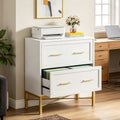 Fnova 2-Drawer File Cabinet, Filing Cabinet for Letter/Legal/A4 Size, Wood File Storage Organizer for Home Office, White,White