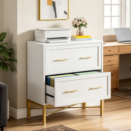 Fnova 2-Drawer File Cabinet, Filing Cabinet for Letter/Legal/A4 Size, Wood File Storage Organizer for Home Office, White,White